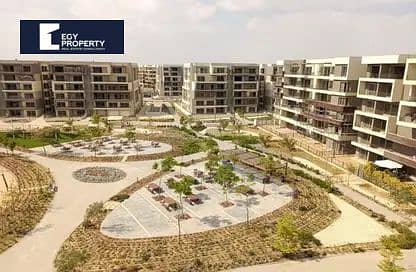 2 8061269-4d224o. jpg