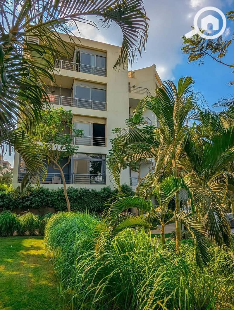 2 WhatsApp Image 2025-10-01 at 1.41. 16 AM. jpeg