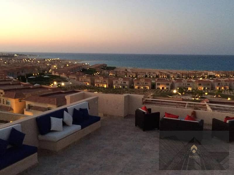 6 330858365_168742982630328_6623060045126420297_n. jpg