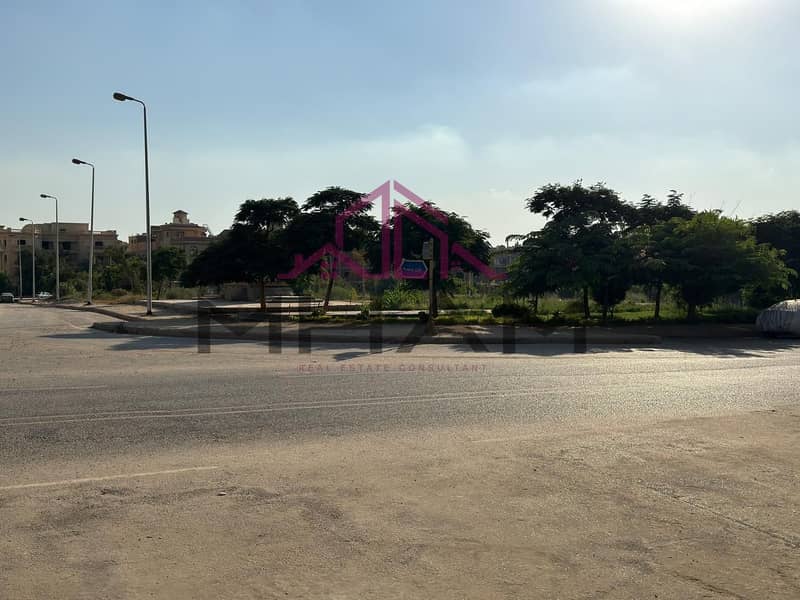 7 photo_5764719441752034157_y. jpg