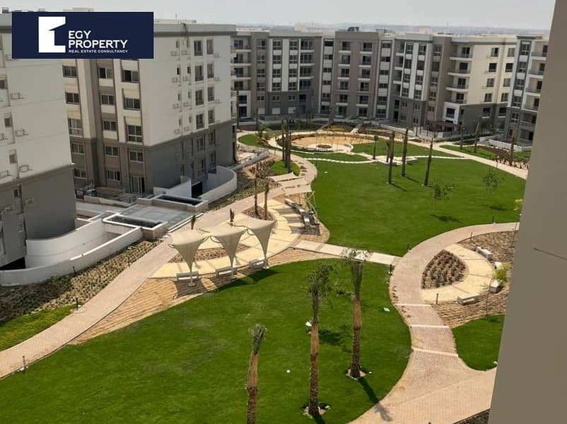 4 WhatsApp Image 2025-10-16 at 16.29. 39. jpeg