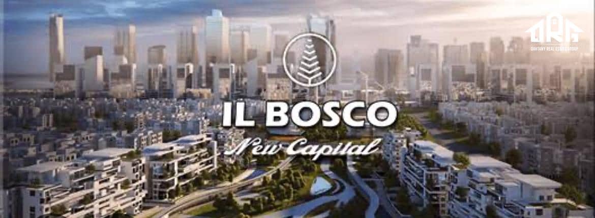 7 bf342b52-a103-49c8-a7fa-0297cdfa8803. jpeg