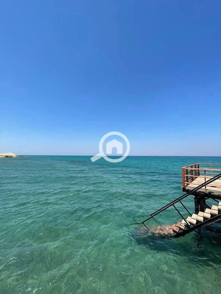 8 571147682_806922595288664_5293391300624381632_n. jpg