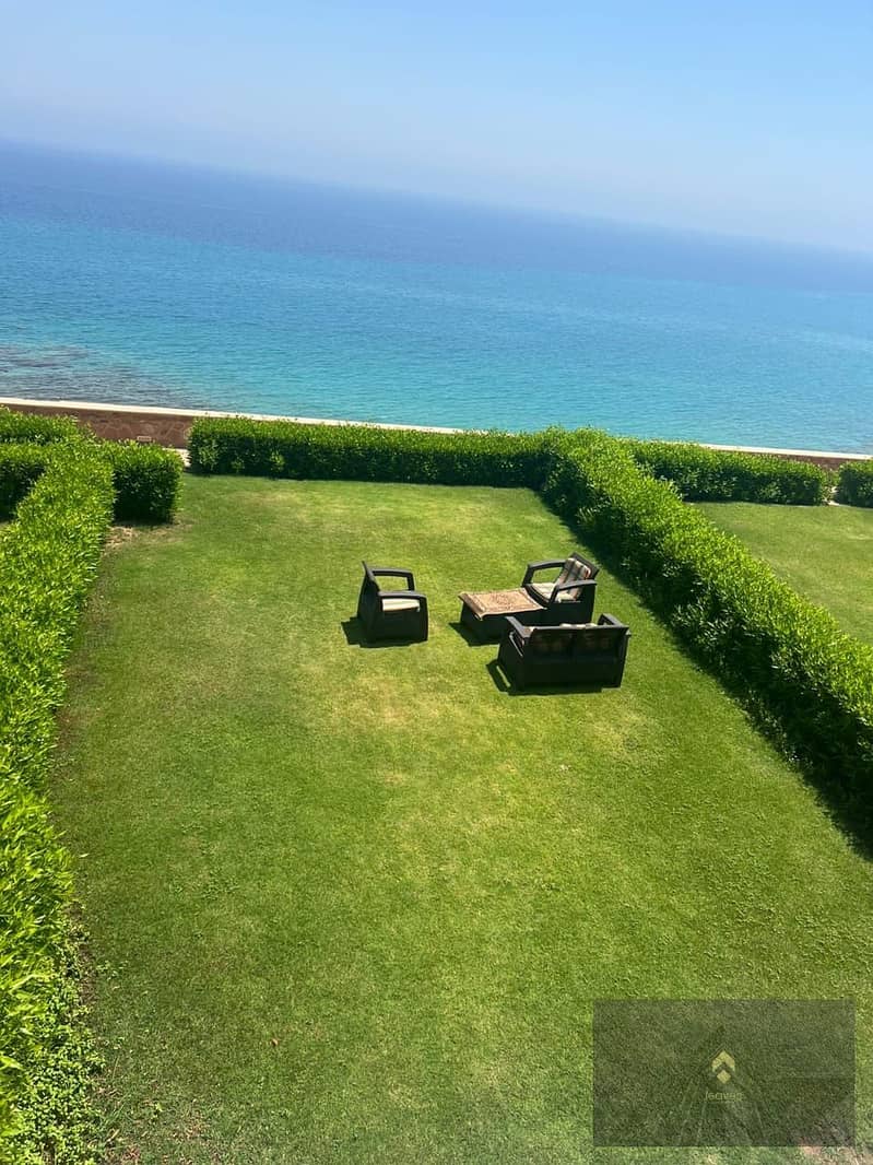 4 1a8dc78e-def9-4d45-83f6-61a7c1205913. jpg