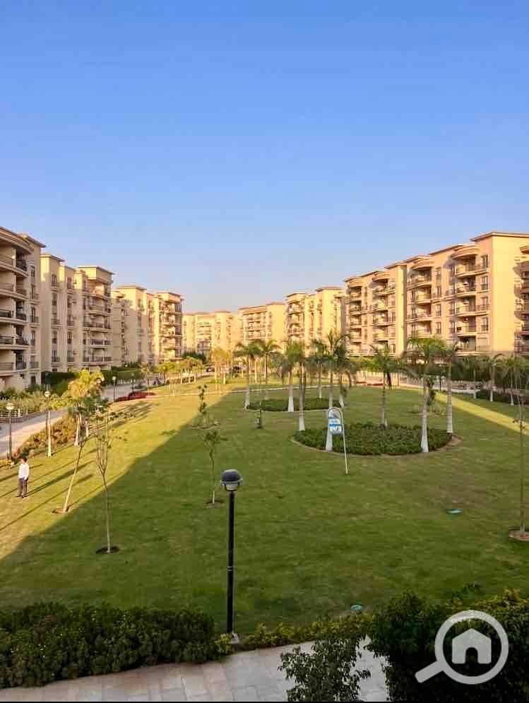 IMG_7923. jpg IMG_7923. jpg