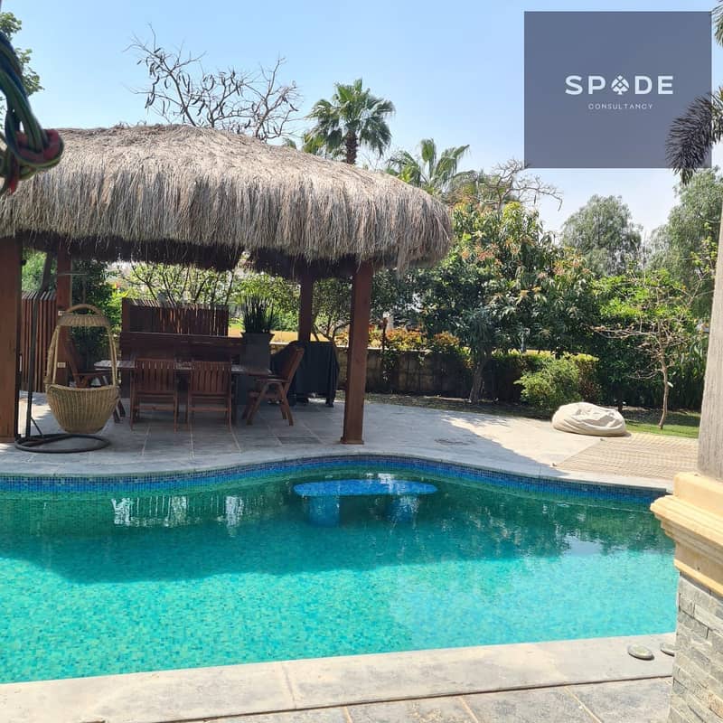 IMG-20250724-WA0047. jpg IMG-20250724-WA0047. jpg