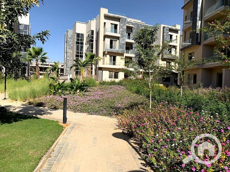 8 2020-02-07 (1). jpg