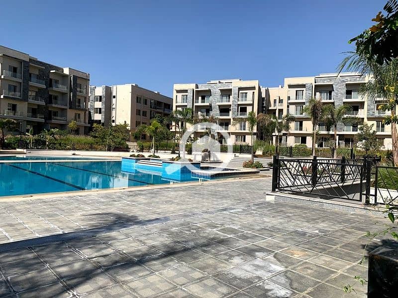 9 2020-02-07 (7). jpg