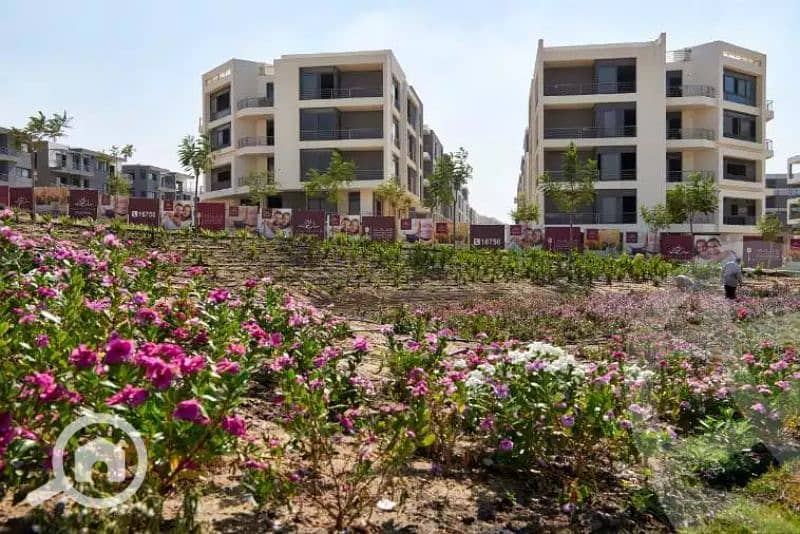 4 6138b3675768e137851391. jpg