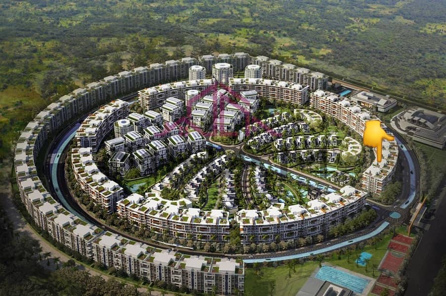 2 photo_5767286608129362730_y. jpg