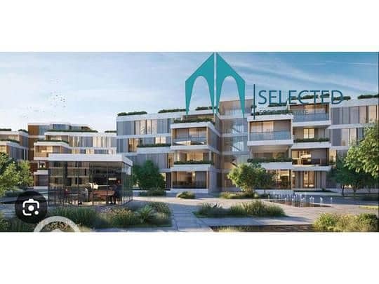 7 b5302d4f-702d-11ef-bef9-5aa5a3b5cceb. jpeg