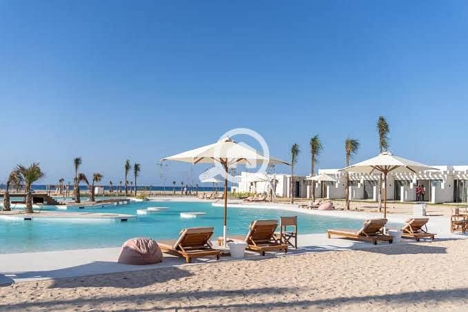 2 photo_6044085469257516931_x. jpg