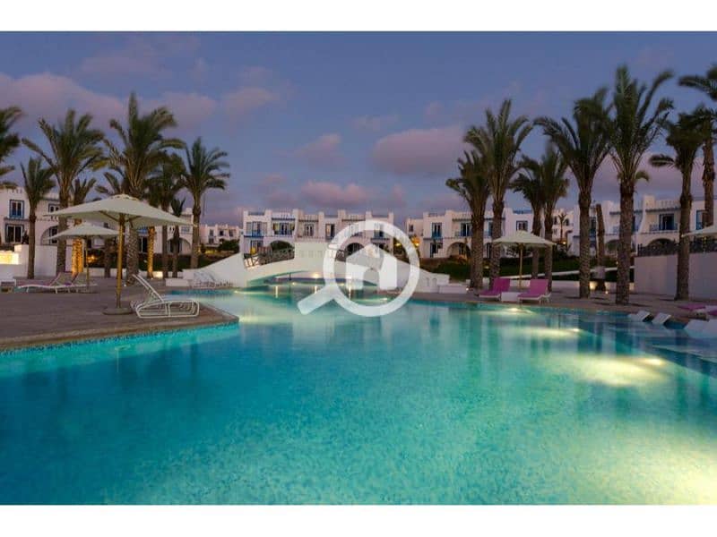 6 245073258 (1). jpg