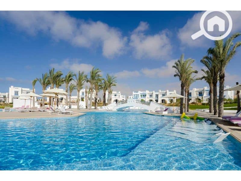 7 245073302 (1). jpg