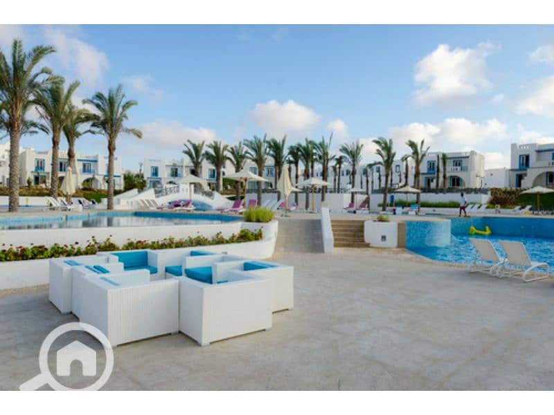 9 medium_zszxIq4Ue2xkg8RkR4yW0XagAc9xh9 (1). jpg