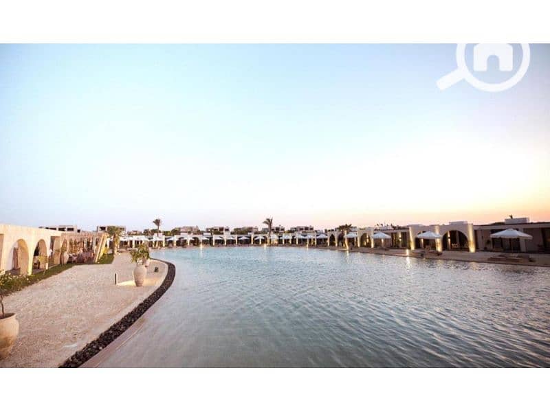 3 459918545 (1). jpg