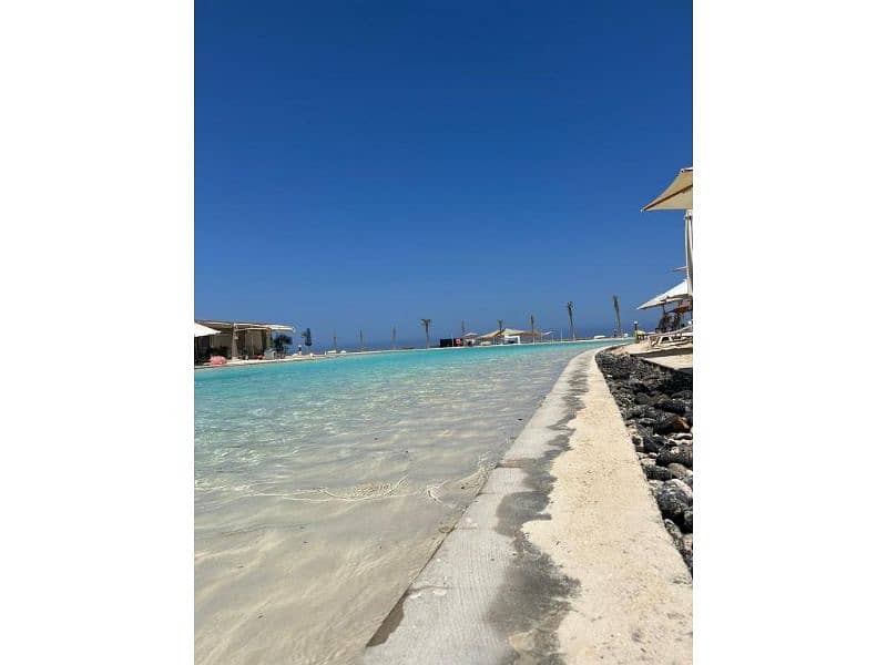 4 553306975 (1). jpg