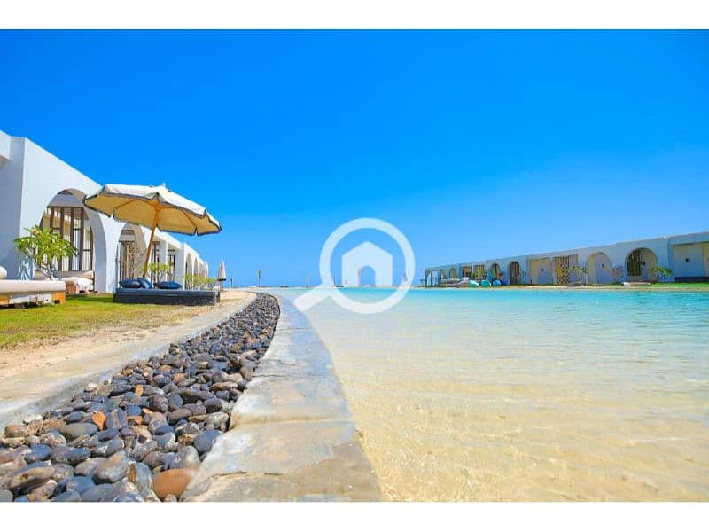 5 568233147 (1). jpg