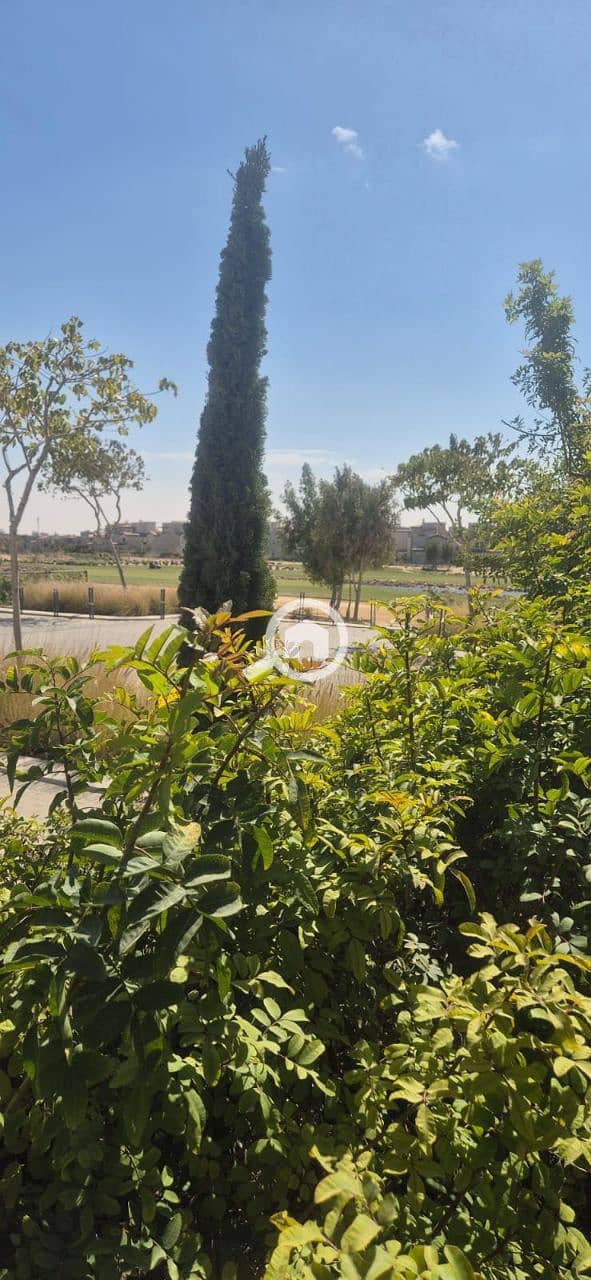 5 photo_5782848842302081097_y. jpg