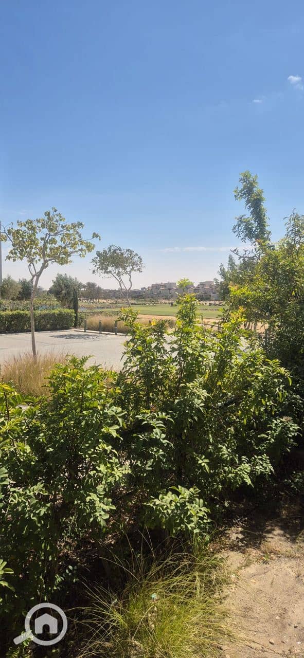 8 photo_5782848842302081092_y. jpg