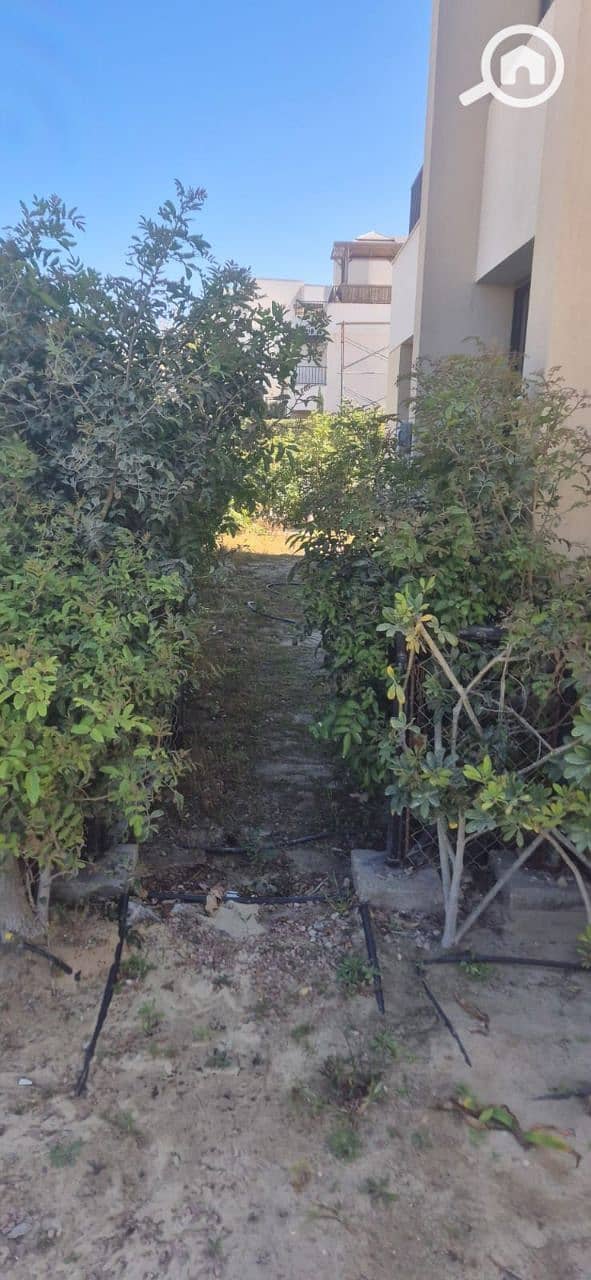 10 photo_5782848842302081089_y. jpg