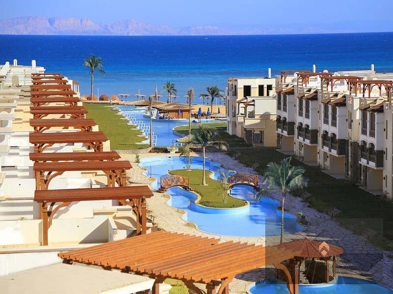 aaa65206-3943-48a7-99b9-e156d2f3a062. jpg aaa65206-3943-48a7-99b9-e156d2f3a062. jpg