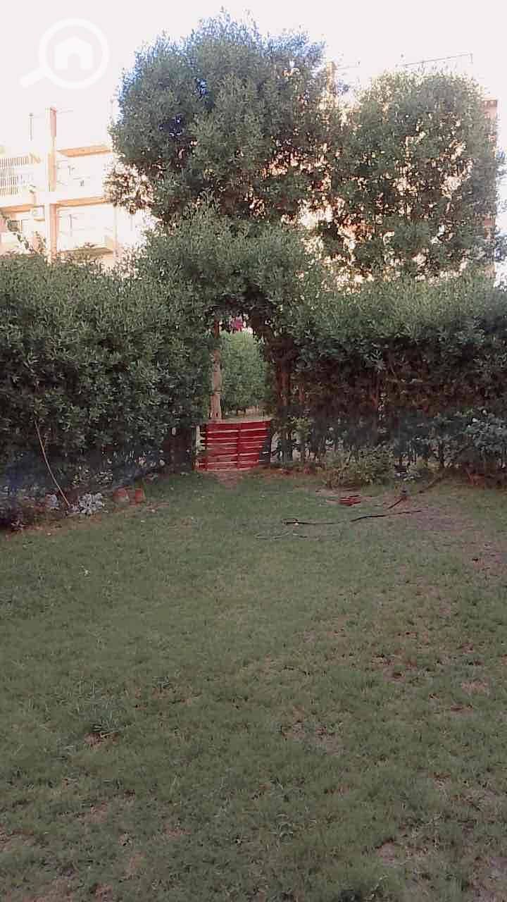 12 dc7ea28e-1e26-453e-a564-90f04275957d. jpg