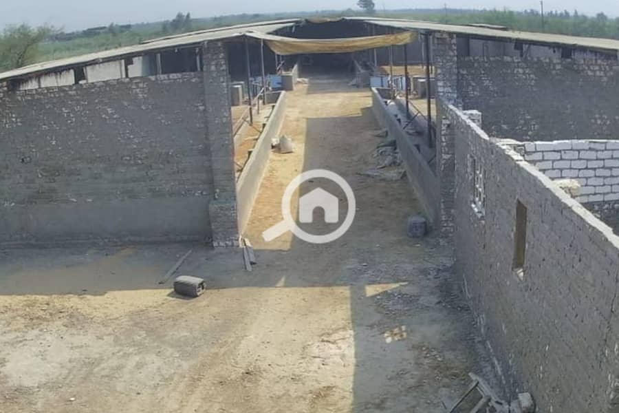 2 Untitled-1_0001_WhatsApp Image 2025-10-27 at 11.33. 26 AM (1). jpg