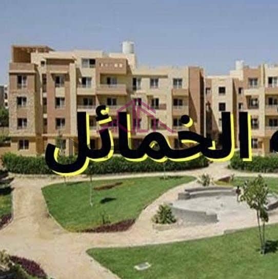 5 IMG-20251027-WA0405. jpg