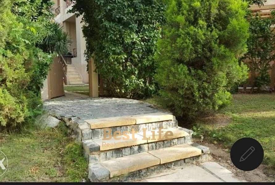 4 IMG-20251026-WA0049. jpg