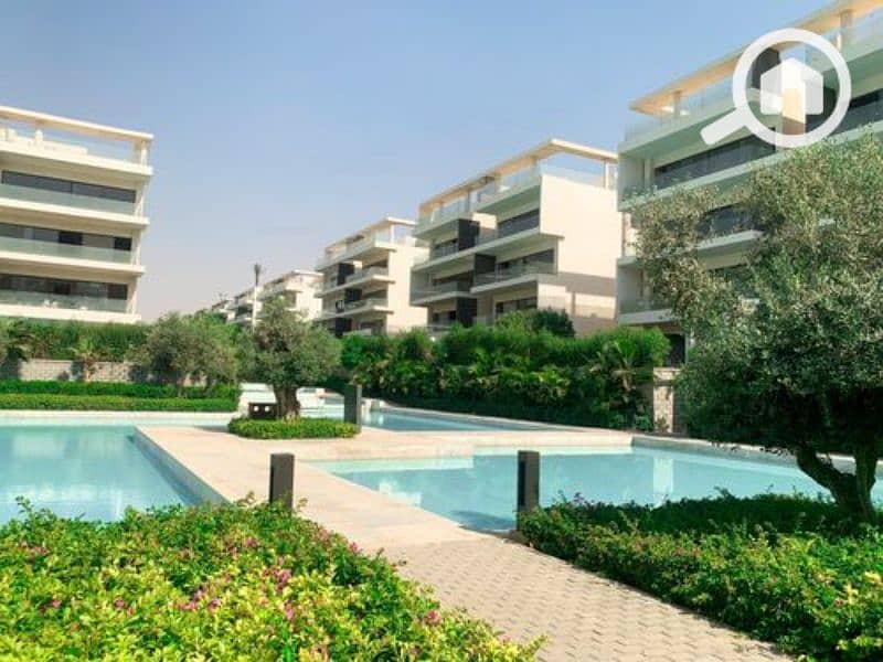 14 medium_IMG-20240805-WA0010. jpg