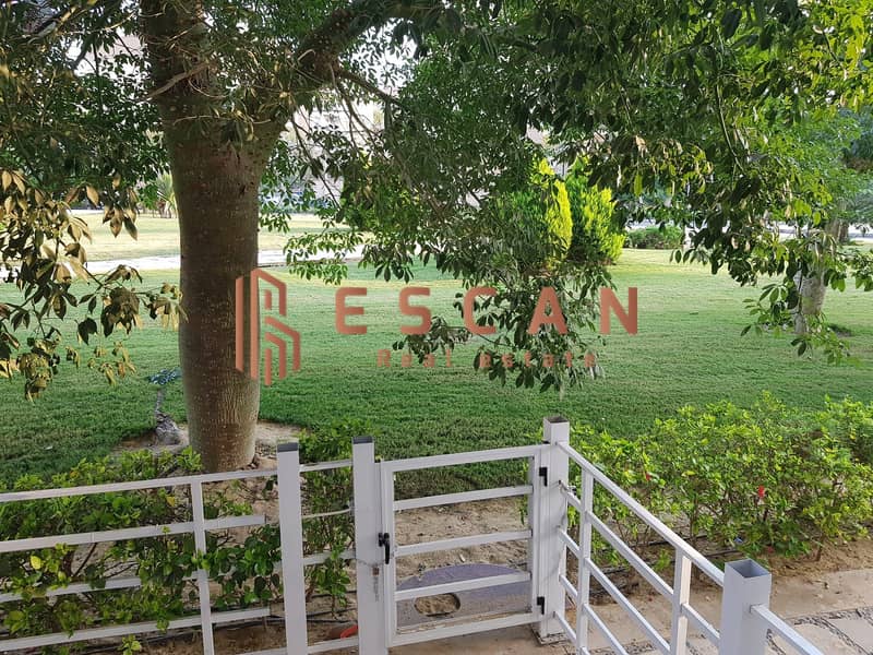 6 U874682 (12). jpeg