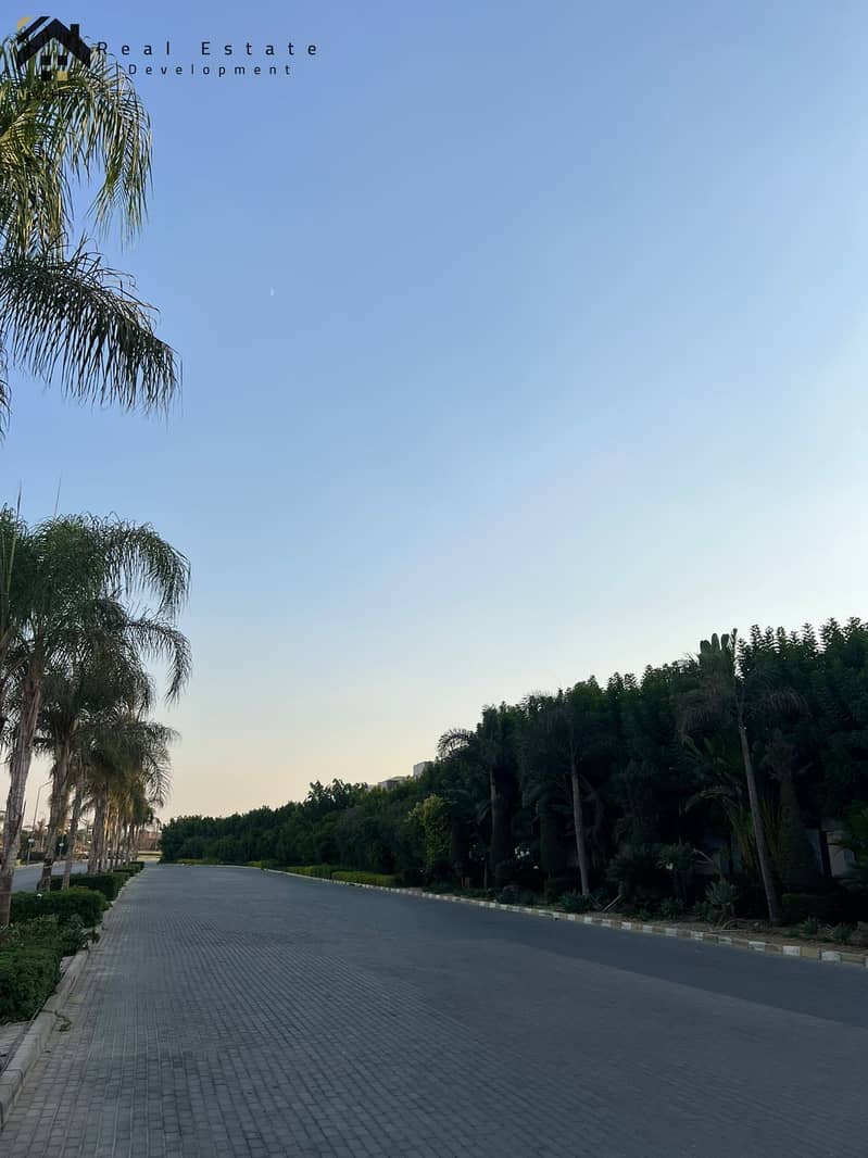 4 3ef82ad5-4705-4598-8fdc-9ecc4f7380c4. jpeg