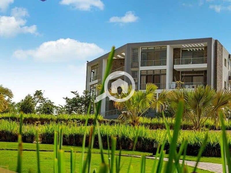 7 131891298_380112286416191_8567288949165797842_n. jpg