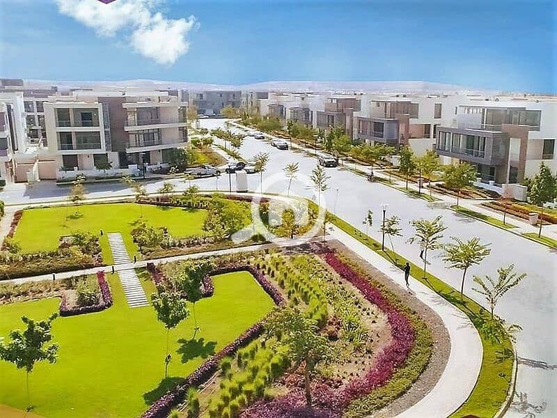 12 107103637_296725631472258_8904372934605810121_n. jpg