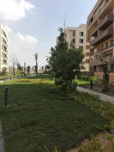 فلیٹ 4 غرف نوم للبيع في القاهرة الجديدة، القاهرة - WhatsApp Image 2018-10-27 at 11.56. 25 AM. jpeg