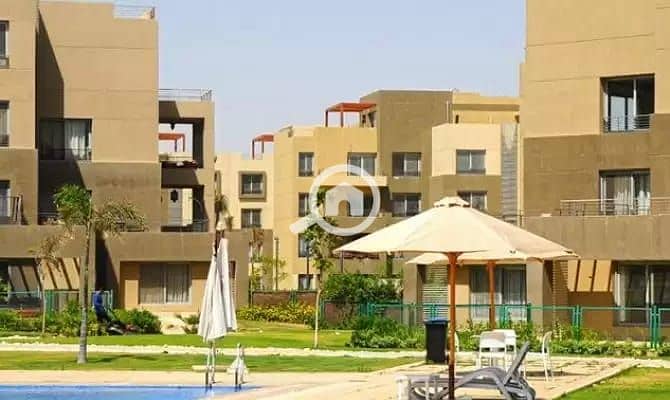 4 WhatsApp Image 2025-10-23 at 18.36. 54_d7380ea6. jpg