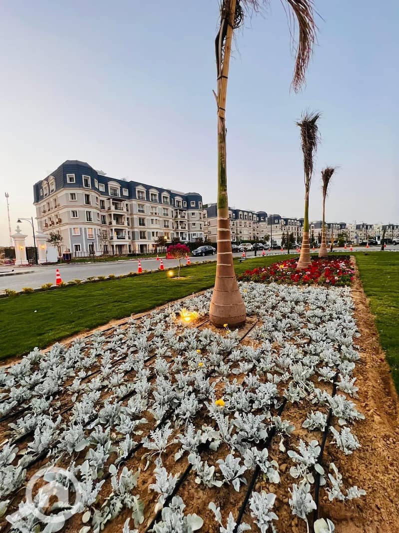 WhatsApp Image 2022-07-26 at 7.12. 21 PM (2). jpeg