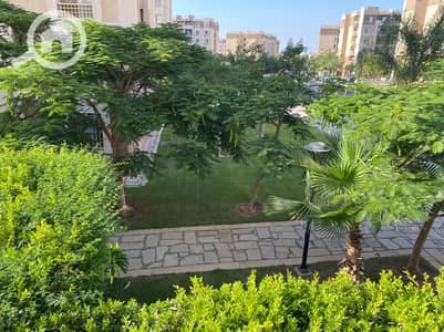 شقة 2 غرفة نوم للايجار في مدينتي، القاهرة - 0a1fea5c-3fb0-4bd8-9373-528c175667c3. jpg