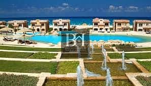 3 download (2). jpeg