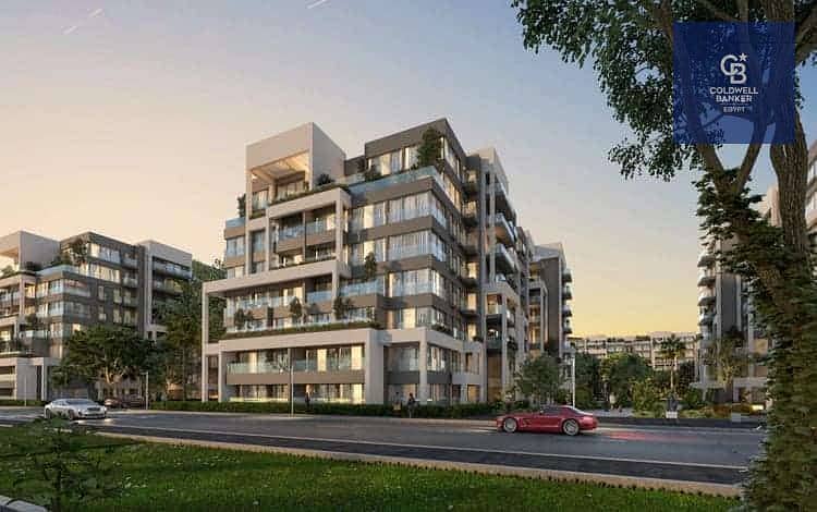 3 blue-tree-new-cairo. jpg