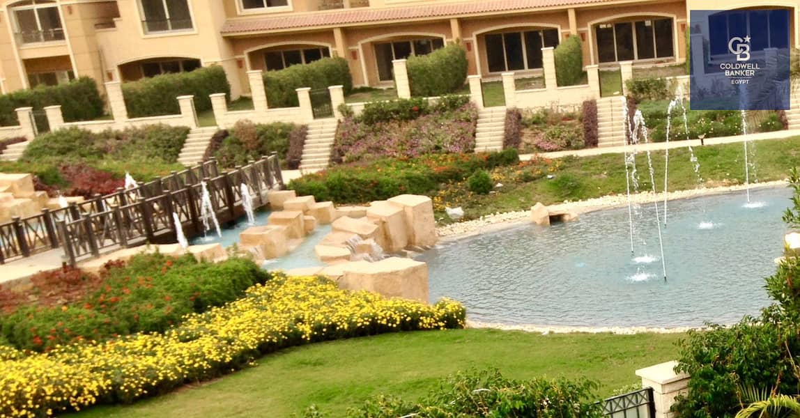 11 dd579250-24e2-4db7-837d-507dc8f6f7af. jpeg