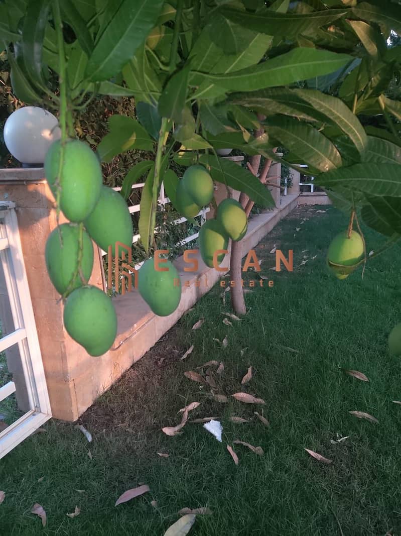 4 U551341 (17). jpeg