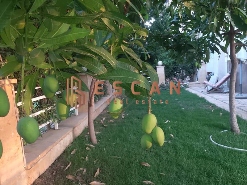 5 U551341 (16). jpeg