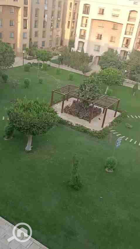 1000535519. jpg 1000535519. jpg