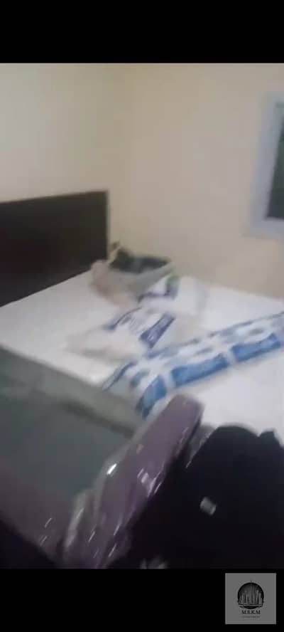 2 Bedroom Flat for Rent in New Cairo, Cairo - WhatsApp Image 2025-10-28 at 7.07. 26 PM (1). jpeg 2 Bedroom Flat for Rent in New Cairo, Cairo - WhatsApp Image 2025-10-28 at 7.07. 26 PM (1). jpeg