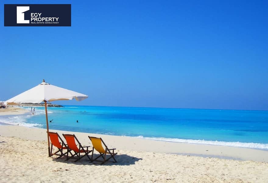 7 d7429229-b1dd-4954-9e5d-e6ae53fb05c6. jpg