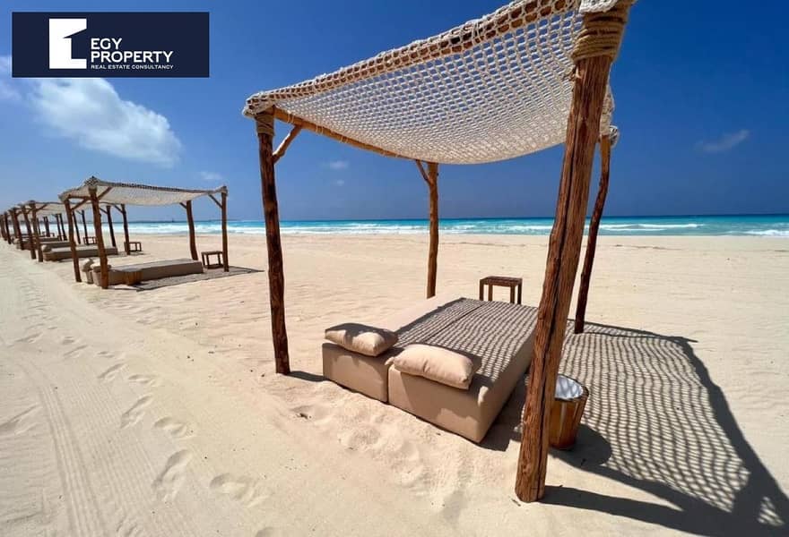 10 055bc039-d482-40e0-b182-bf73fe9d5478. jpg