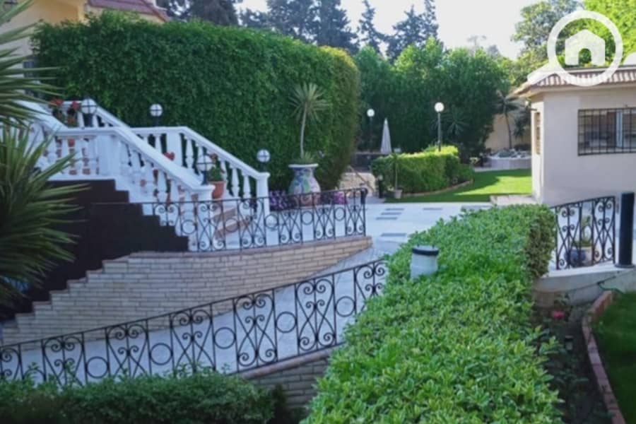 5 Untitled-1_0004_Generative Fill. jpg