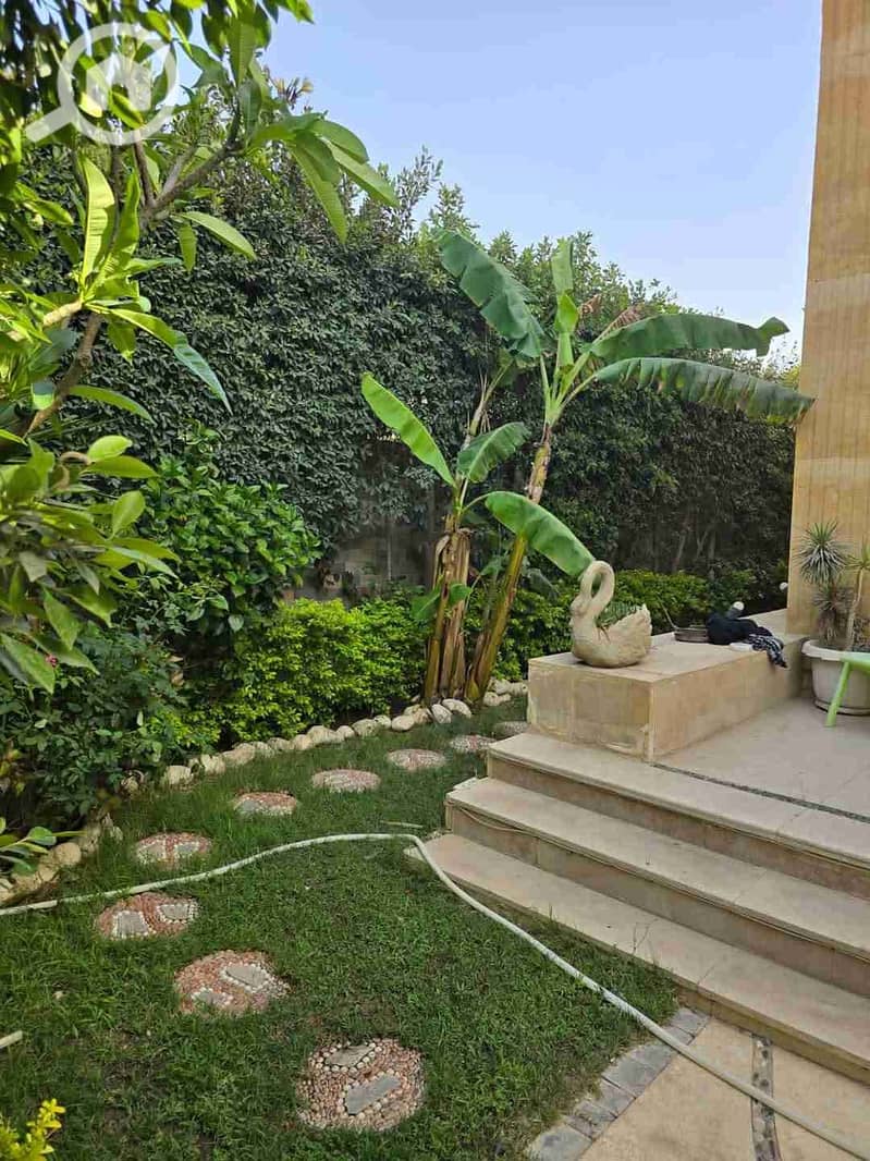 7 FB_IMG_1761660607714. jpg